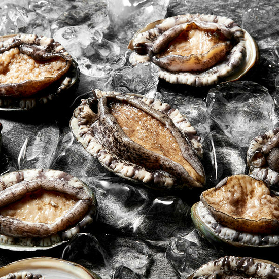 [大전복] 완도활전복_대16미 