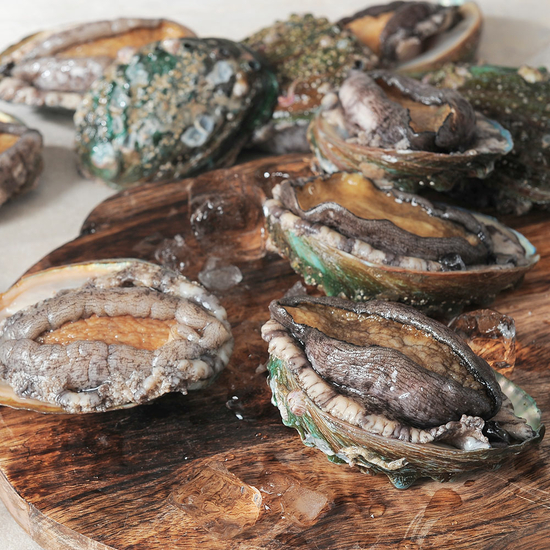 보양시즌! 완도 활 전복 대 29미(미당 65~80g) 