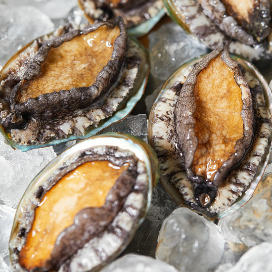 완도활전복 특대 20미(미당 80~100g) 산지직송 산소포장