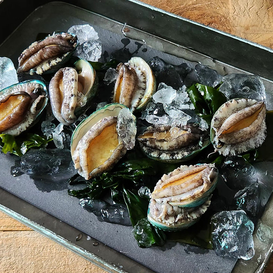 완도 도톰한입활전복 1.2kg+손질 도구 1개