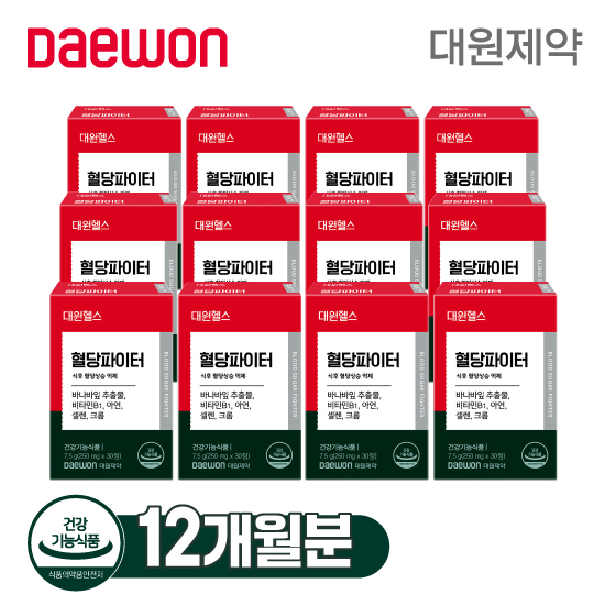 대원제약 혈당파이터 12개월분