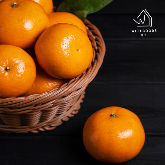 [웰굿] 제주직송 달콤한 타이벡 감귤 2.5kg(중대과,L-2L)