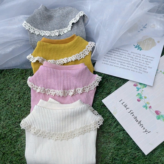 강아지 골지 레이스 티셔츠 1P 애견 봄가을 외출복