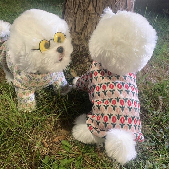 강아지옷 튤립 반폴라 티셔츠 1P 레드 간절기 애견옷