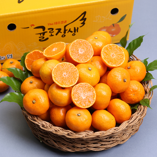 제주농협 귤로장생 하우스감귤 2.5kg (소과)