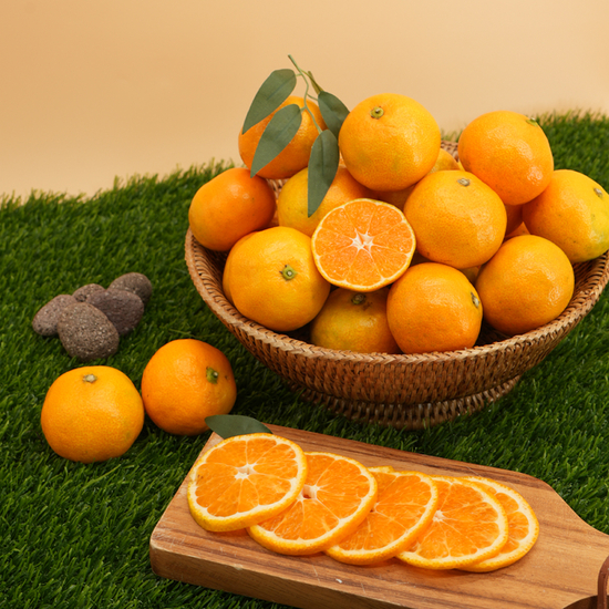 [상생]산지직송 제주 감귤 9kg 로얄과(S-M)