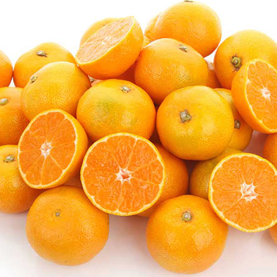 [더조은] 달콤한 서귀포 감귤 (로얄중품) 3kg