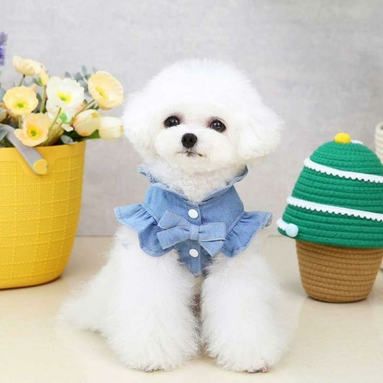 [라일리] Rly 애견 하네스 옷 데일리 산책 원피스 프릴 스커트 패션