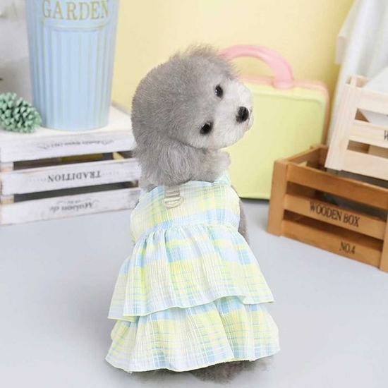 [오노마] ONM 애견 멍생네컷 화사한 예쁜 원피스 레이어드 하네스