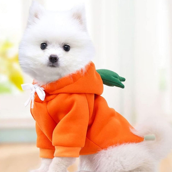 귀여운 강아지옷 고양이옷 애견옷 과일옷 당근 L (WFFNRSR)