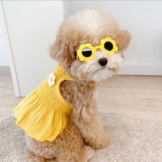 플라워 드레스 강아지 고양이 옷 애견옷 옐로우 XL