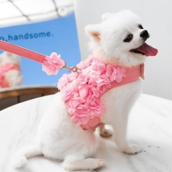 귀여운 강아지옷 고양이옷 레이스 꽃 하네스 핑크 S