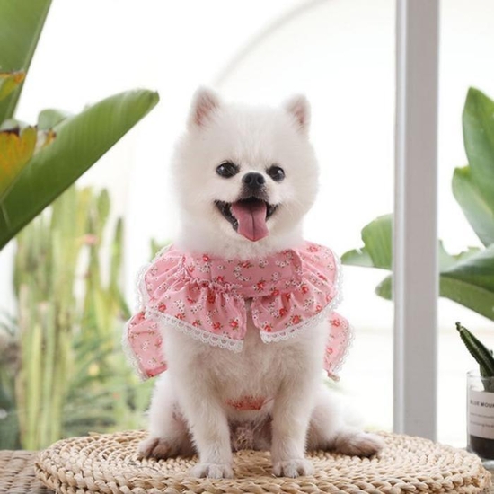 러블리 강아지옷 레이스 고양이옷 하네스 핑크 S