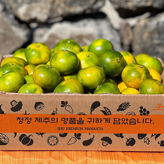 하우스감귤 2.5kg 꼬마