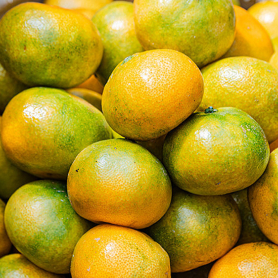 [팜쿡] 산지직송 극조생 조생감귤 대과 (실중량 4.5KG)