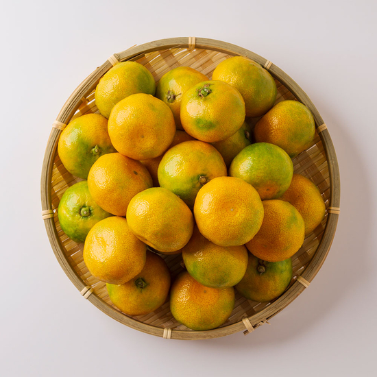 [작심밀도]제주직송 25년 극조생 감귤 로얄과(S/M) 3kg