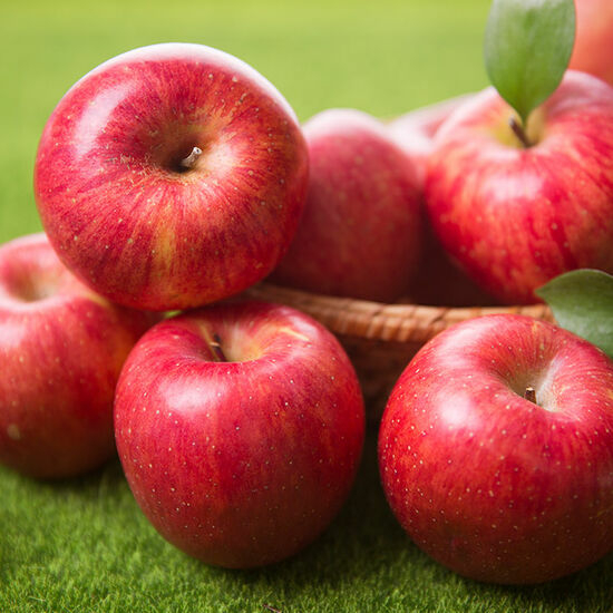 맛있는 가정용 부사 사과 중대과 9kg