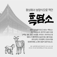 김오곤 원장의 흑염소 진액 4개월분(120포)