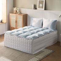 [방송에서만 토퍼 1장 더] 홈랩 사계절 기절토퍼 SS+SS