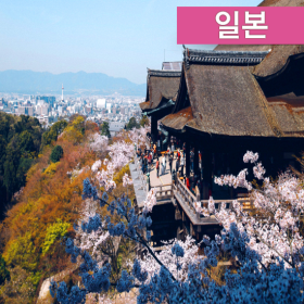 [고품격+아시아나직항] 오사카/교토/고베 2박 3일1보기